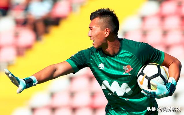 的情感聯結 的情感聯結